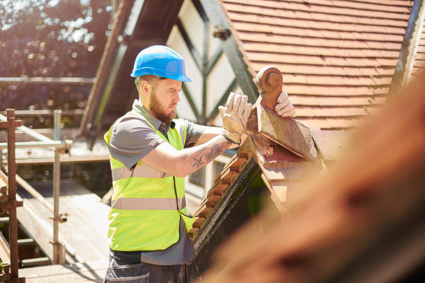 Roof Gutter Cleaning in Kankakee, IL